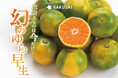 みかんシーズン到来！香川県産『ゆら早生みかん』が期間限定で登場