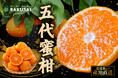 年末の産地直送！箱みかん　愛媛県産『新口農園さんが育てた五代(ごだい)蜜柑(みかん)』