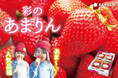 14時間で250セット即完売！『矢島農園さんの彩のあまりん』（埼玉県産）