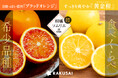 春を届ける産地直送便！柑橘ソムリエの『ブラッドオレンジ・黄金柑』（愛媛県産）
