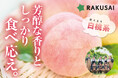 完売必至！Playest　JAPANさんが作る 『朝採れ桃 白桃系』(山梨県産)