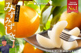RAKUSAI梨販売実績No.1 山﨑梨園の『豊水梨』（千葉県産）