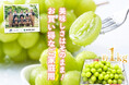 日照時間トップクラスの山梨県・甲府盆地から　PlayestJAPANさんの『ご家庭用シャインマスカット』