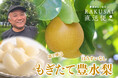 大田市場直送便！