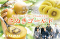 RAKUSAI 産地直送!キウイフルーツ