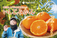 冬の定番!産地直送でお届け