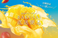 RAKUSAI産地直送便 宮崎県産マンゴー