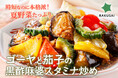 時短なのに本格派!夏野菜たっぷりのミールキットが新登場!『ゴーヤと茄子の黒酢麻婆スタミナ炒め』
