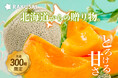 北海道が誇る 『北海道産 夕張メロン』 を6月23日より数量限定で販売開始!