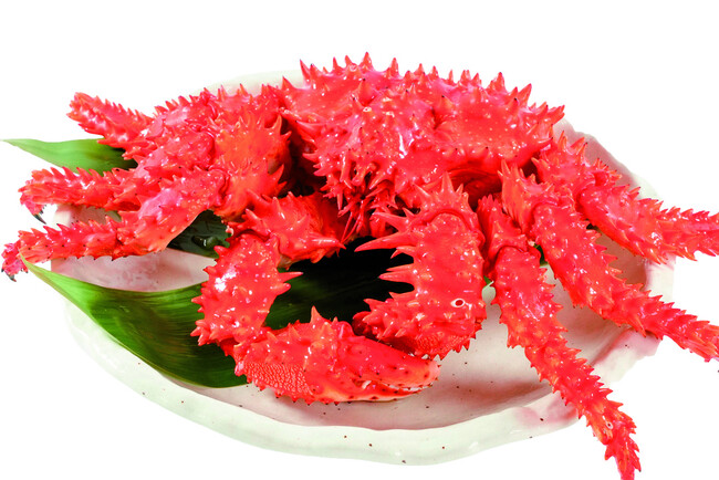 花咲ガニ 花咲ガニ