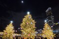 『クリスマスマーケットin大阪 てんしば 』開催!! ~ グルメもイルミも!今年の冬はとっておきのクリスマスを˖✧~