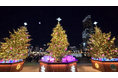 『クリスマスマーケットin大阪 てんしば 』今年も開催!! ～ グルメもイルミも！きらめく“てんしば”で、特別なクリスマスを。～