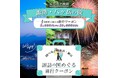 【長野県内初】岡谷・諏訪・下諏訪・富士見の4市町が連携！ ふるさと納税返礼品「よいさ！諏訪めぐり共通感謝券」が7月1日より運用開始