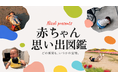 先輩赤ちゃんから、これから生まれてくる君へ。──Nicoliがメッセージ動画『ようこそベイビー』と『赤ちゃん思い出図鑑』を同時公開