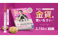 【書籍の予約発売開始！】小川竜一氏最新作「今すぐ金貨を買いなさい！彼女たちがGOLDを選んだ理由」12/3発売決定