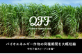 【QFF】クォンタムフラワーズ&フーズ 「第34回日本エネルギー学会大会(仙台)」に出展