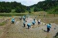 【株式会社ミライト・ワン】新潟県十日町にてミライト・ワン グループ社員による田植えを実施