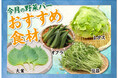 しゃぶ亭ふふふ 初夏限定「野菜バー」スタート! 〜旬の野菜でヘルシーなくつろぎ時間を〜