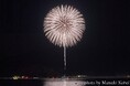 3.11鎮魂と復興の花火「白菊」を岩手県釜石市で打ち上げたい