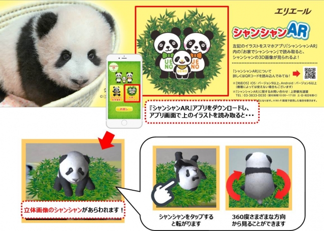 上野動物園の子パンダ「シャンシャン」限定パッケージ コットン