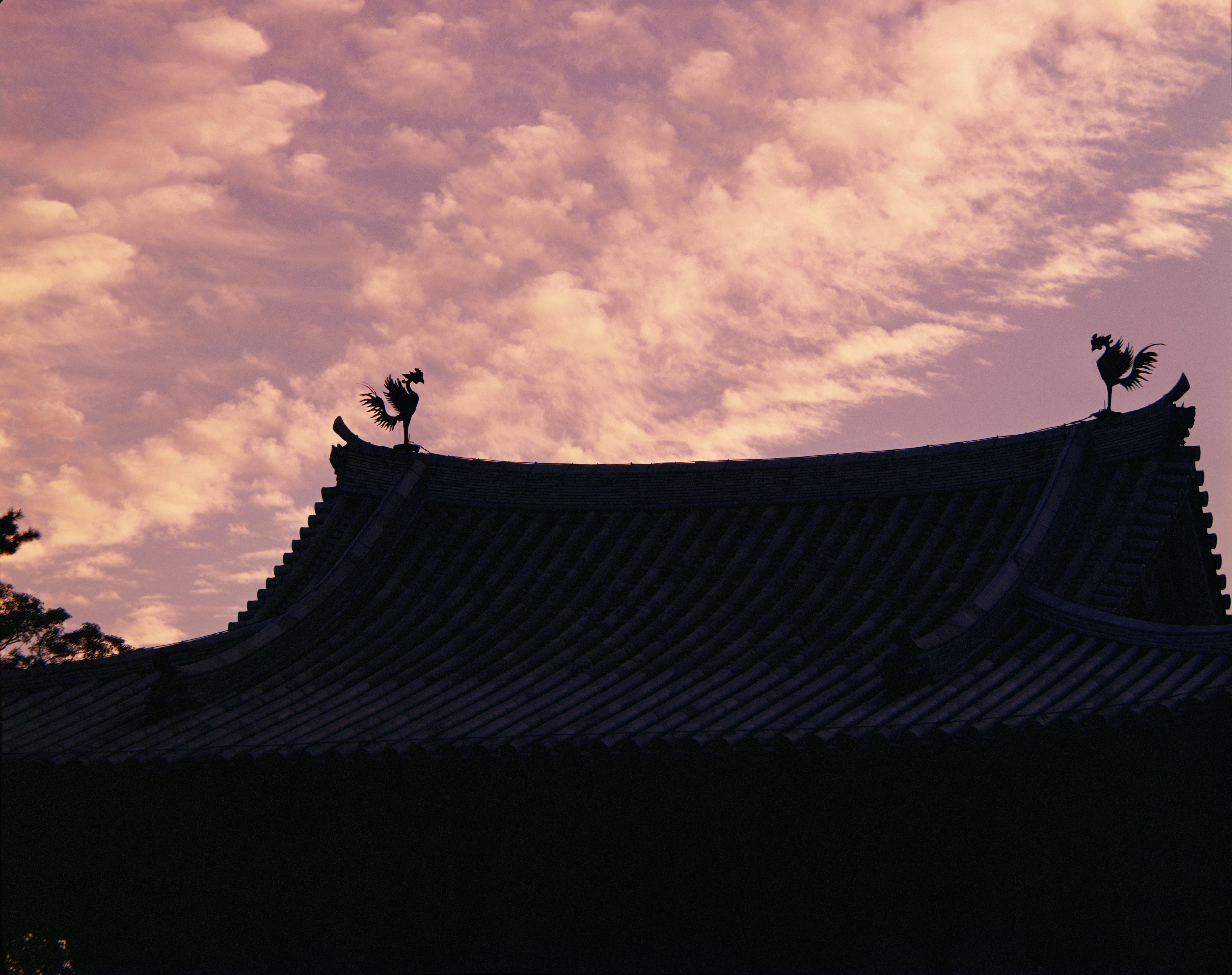 フジフイルム スクエア 企画写真展 魅力発見 日本の世界文化遺産 写真展開催記念web動画 世界遺産の研究者 熊倉浩靖先生のお話 富士フイルムのプレスリリース