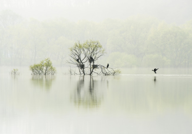 (C)Kazuaki Koseki (C)Kazuaki Koseki