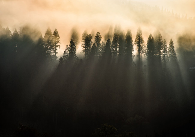 (C)Kazuaki Koseki (C)Kazuaki Koseki