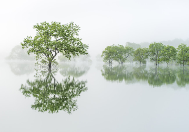 (C)Kazuaki Koseki (C)Kazuaki Koseki