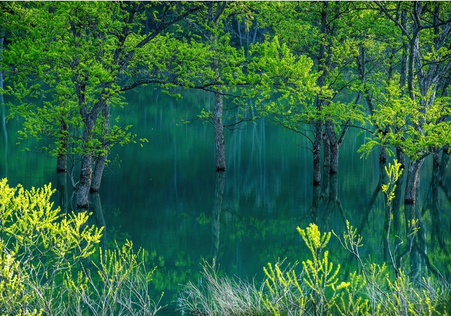 (C)Kazuaki Koseki (C)Kazuaki Koseki