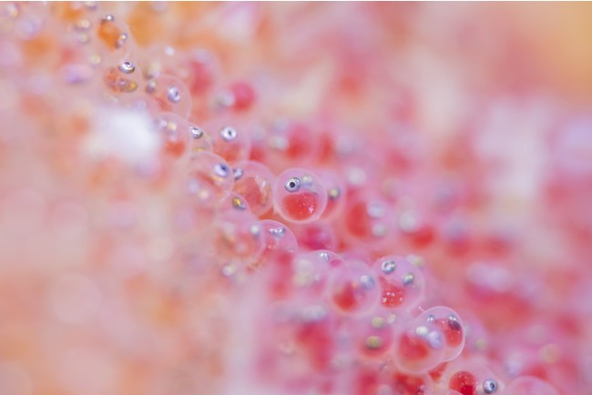 (C)上出俊作 (C)上出俊作