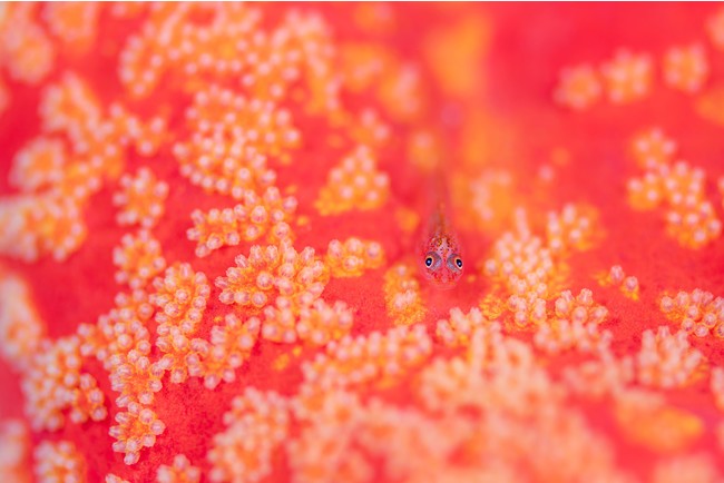 (C)上出俊作 (C)上出俊作