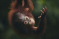 フジフイルム スクエア 企画写真展 希望(HOPE) ~みんなで考える動物の未来~