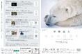 フジフイルム スクエア 企画写真展 星野道夫写真展 ～NANOOK(ナヌーク) ホッキョクグマ 氷原の静かなる物語～