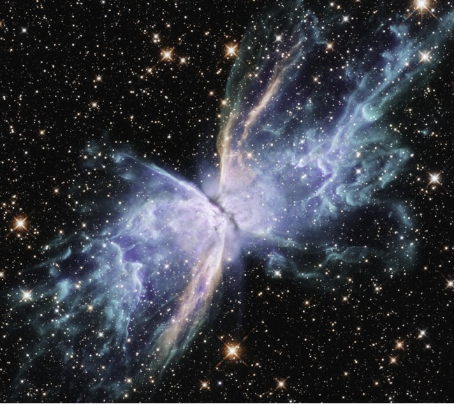 「バタフライ星雲」とも呼ばれるNGC 6302 Credit NASA, ESA, and J. Kastner （RIT）