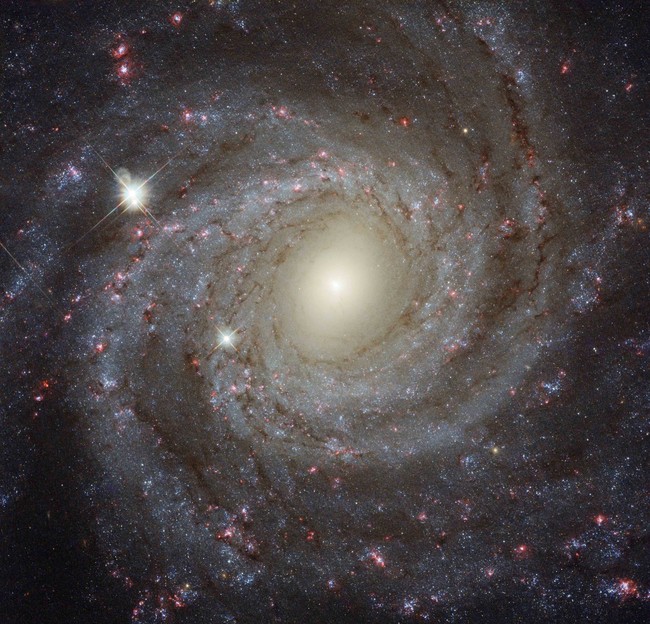 渦巻銀河 NGC 3344 Credit ESA  Hubble, NASA