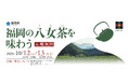 発祥600年を迎えた「福岡の八女茶」PRイベント
