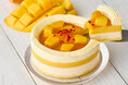 【小樽洋菓子舗ルタオ】本日より新作スイーツ通販にて登場！マンゴーとチーズの爽やかなケーキ『マングーエテ』を季節限定でご用意