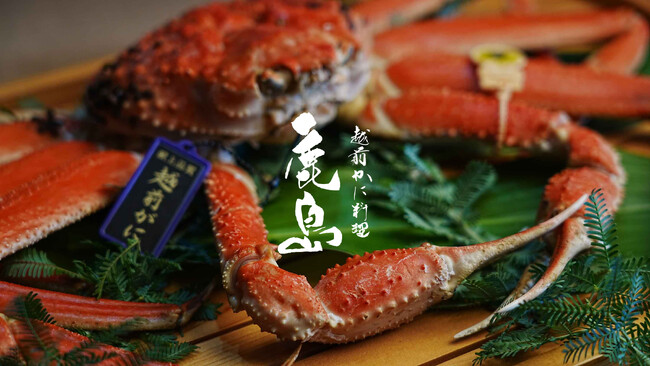 越前がに料理 鹿島 越前がに料理 鹿島