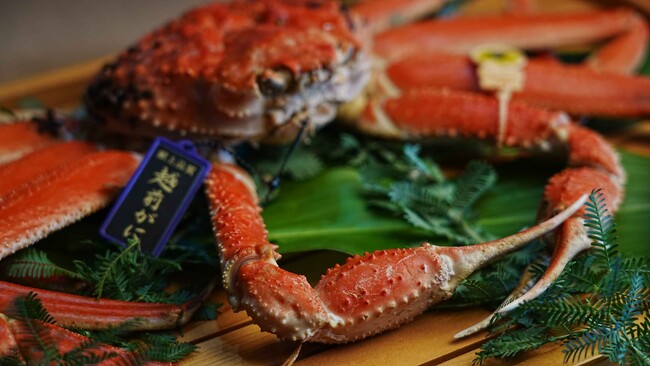 越前がに料理 鹿島 越前がに料理 鹿島