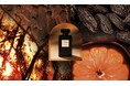 フレグランスブランド「LE COUVENT MAISON DE PARFUM」より、ジャン=クロード・エレナ調香の新作フレグランス<シグネチャー トンカ>が新発売!