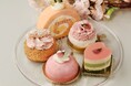 【クリオロ】春の訪れを感じさせる、桜のスイーツが勢揃い。中目黒店限定の新作も登場!