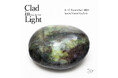「ソーシャルグッドギャラリー」特別企画11/8(金)より塩井一孝 個展「Clad in Light」を開催