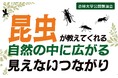 8/4（火）「昆虫の世界から自然のしくみを学ぶ」 杏林大学で小学生から参加できる無料講演会を開催