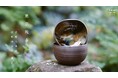400年継承される高取焼の美学「綺麗さび」を、現代の暮らしへ。高取八仙窯・高取由布子の個展を代々木上原「IEGNIM」で開催