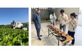 有限会社丸新柴本製茶と共同開発で、味の素AGF初となるオリジナルの和紅茶の試作製造を開始