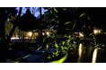 期間限定 「京都の四季を味わう神山湧水珈琲会」~初夏の蛍と夜カフェ~体験催事を開催