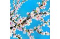 「TREES – studio & market」アートプロジェクト「“TOKYO CITY POP” gallery projectVol4, 「-FURUSATO-」開催!
