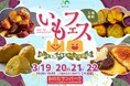 いもフェス YAMAGUCHI 2026開催！3年目の春を迎える人気イベントが今年も登場