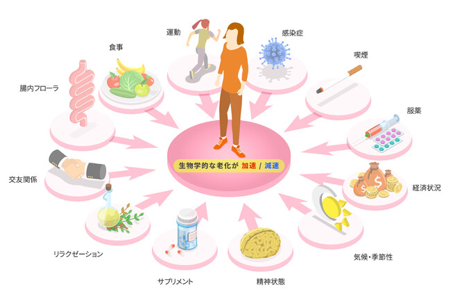 株式会社 Rhelixa本社