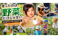 「育ったのは、野菜だけじゃない。」神奈川県茅ヶ崎市の親子向け農業・食育プログラム、子どもと家族の成長ドキュメンタリーを公開